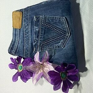 Vigoss size 28 skinny collection